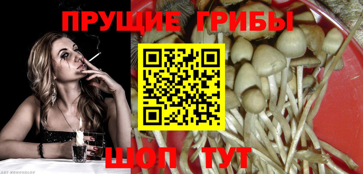 Галлюциногенные грибы мицелий Набережные Челны
